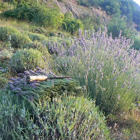 Agriturismo Il Brusa Fer Farm stay *
