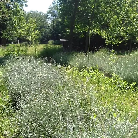 Agriturismo Il Brusa Fer *